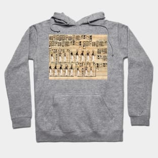 Ancient Egypt Pharaoh Papyrus Hieroglyphs Egyptian Civilization Hoodie